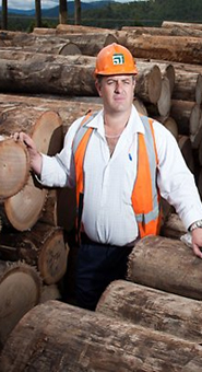   Egypt Veneer For Veneer Production and Commerce - About  Our Company