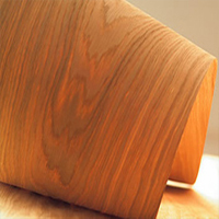 هل يوجد تنوع فى الالوان و المقاسات والخامات ؟